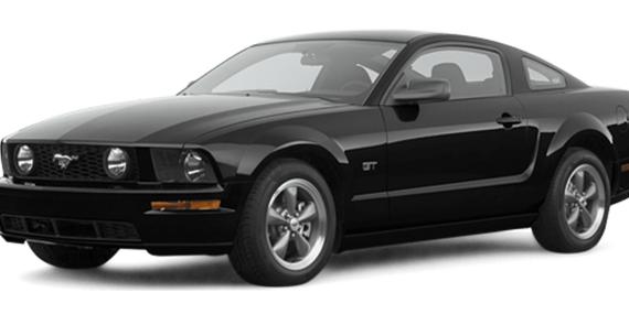 FORD MUSTANG 2007 1ZVHT88S975244786 image