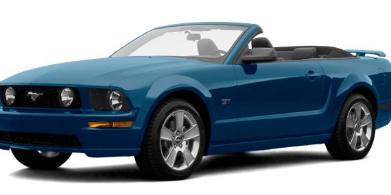 FORD MUSTANG 2007 1ZVHT89S175195890 image