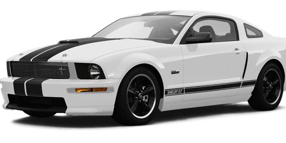 FORD MUSTANG 2007 1ZVHT82H075199167 image
