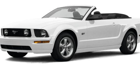 FORD MUSTANG 2007 1ZVHT85H075229196 image