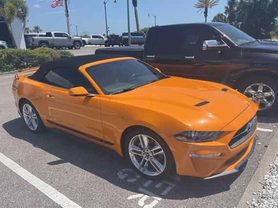 FORD MUSTANG 2019 1FATP8UH7K5203969 image