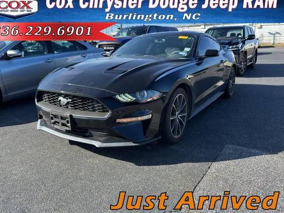 FORD MUSTANG 2019 1FA6P8TH4K5191276 image FORD MUSTANG 2019 1FA6P8TH4K5191276 image