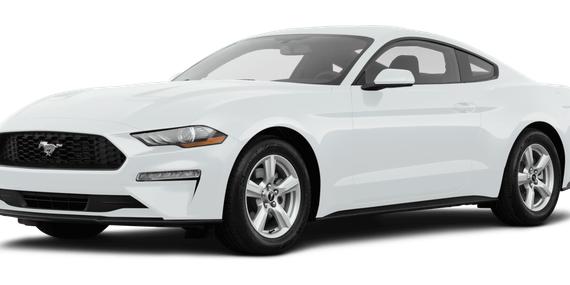 FORD MUSTANG 2019 1FA6P8TH4K5130817 image