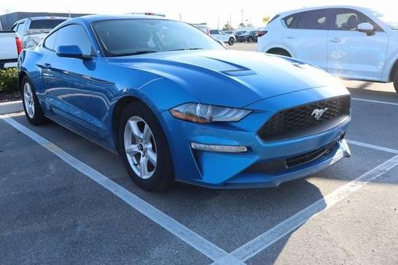 FORD MUSTANG 2019 1FA6P8THXK5187491 image