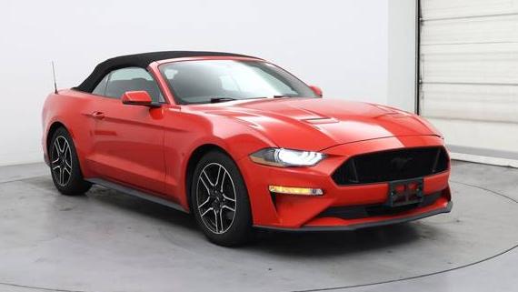 FORD MUSTANG 2019 1FATP8UH5K5115681 image
