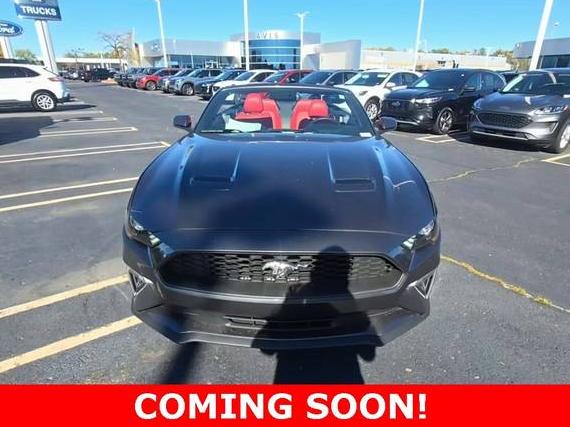 FORD MUSTANG 2019 1FATP8UH0K5185332 image FORD MUSTANG 2019 1FATP8UH0K5185332 image