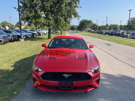 FORD MUSTANG 2019 1FA6P8TH3K5123065 image