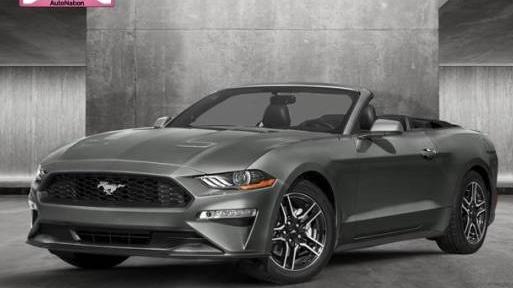 FORD MUSTANG 2019 1FATP8UH5K5159647 image