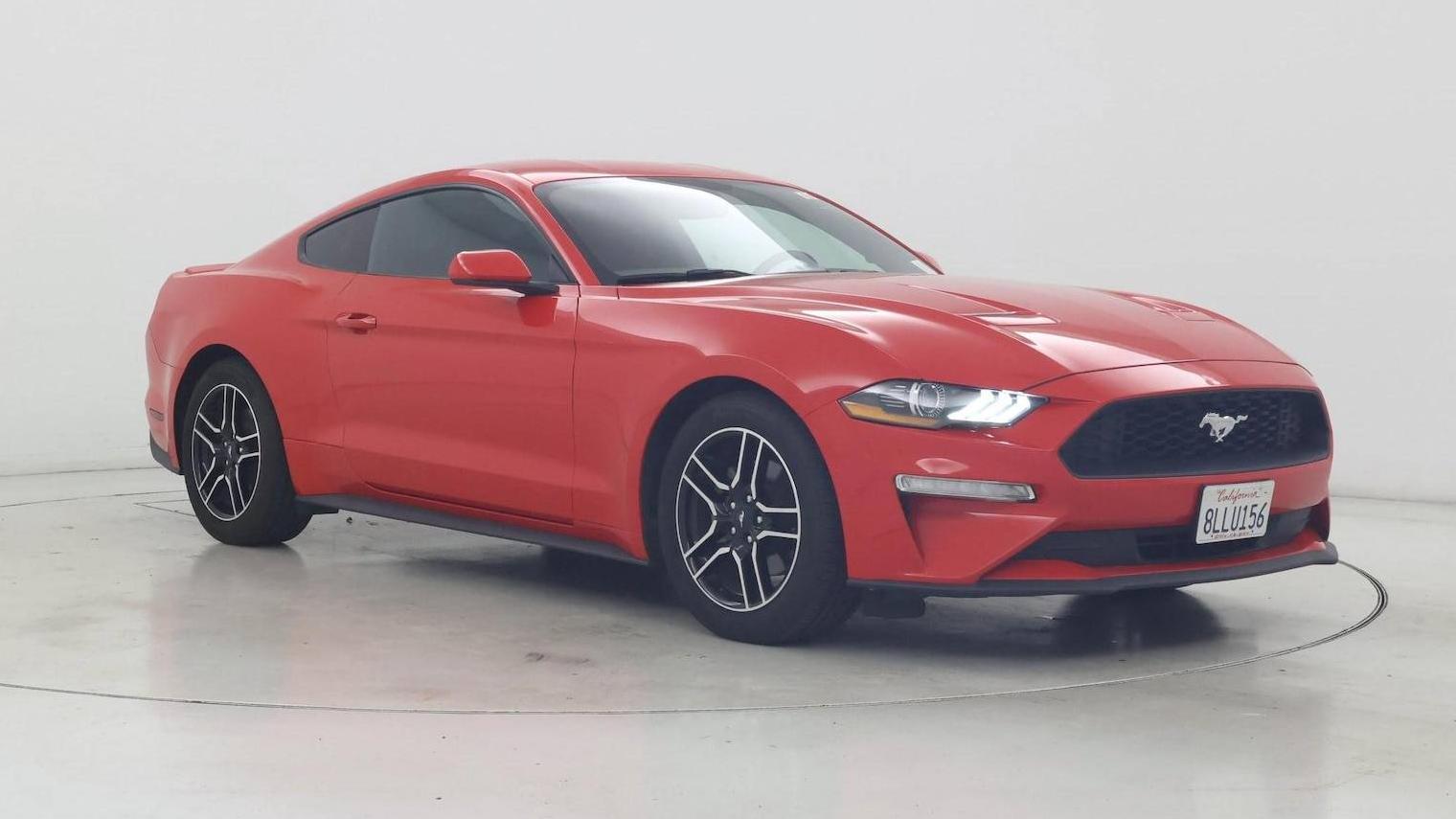 FORD MUSTANG 2019 1FA6P8TH3K5175487 image