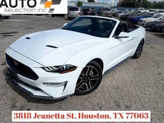 FORD MUSTANG 2019 1FATP8UH7K5161416 image FORD MUSTANG 2019 1FATP8UH7K5161416 image