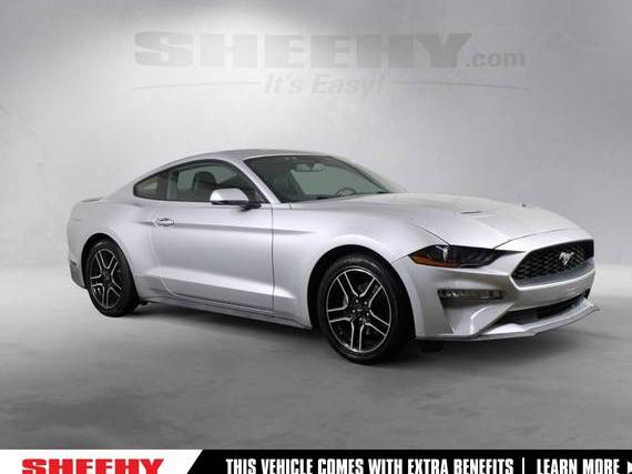 FORD MUSTANG 2019 1FA6P8TH6K5172146 image FORD MUSTANG 2019 1FA6P8TH6K5172146 image