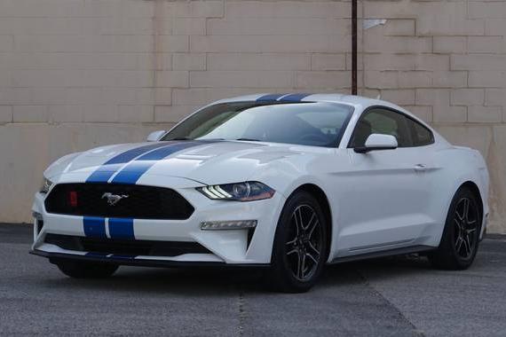 FORD MUSTANG 2019 1FA6P8TH5K5173921 image