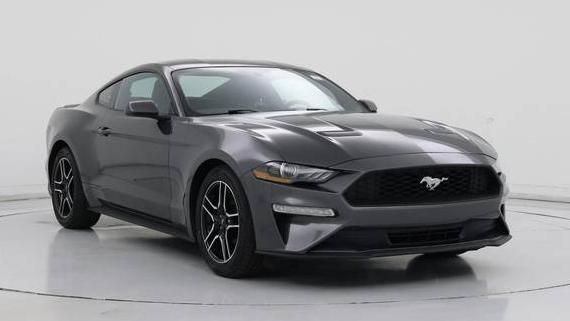 FORD MUSTANG 2019 1FA6P8TH3K5105407 image