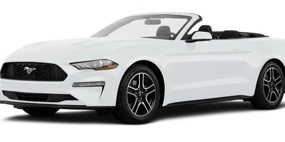 FORD MUSTANG 2019 1FATP8UH1K5171049 image
