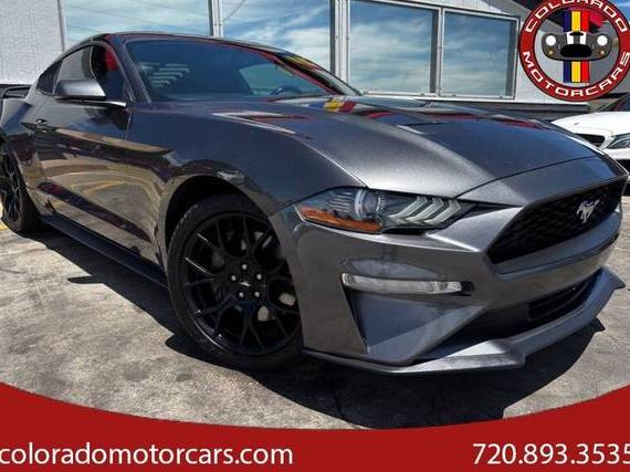 FORD MUSTANG 2019 1FA6P8TH2K5105723 image