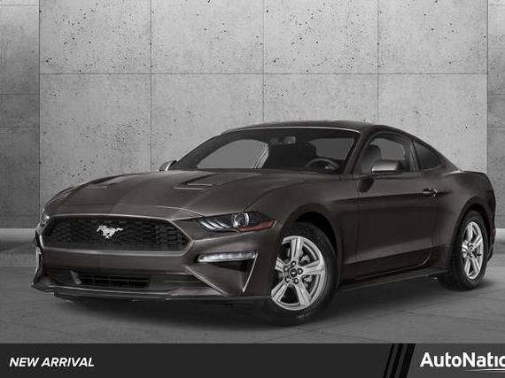 FORD MUSTANG 2019 1FA6P8CF7K5141681 image