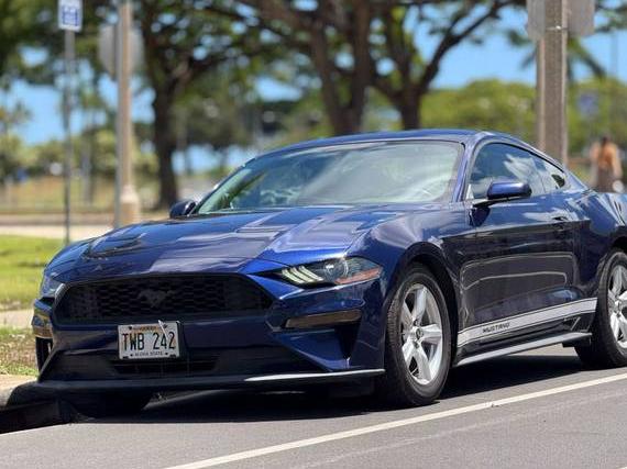 FORD MUSTANG 2019 1FA6P8TH3K5125883 image