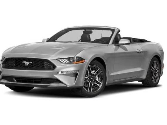 FORD MUSTANG 2019 1FATP8UH9K5170747 image