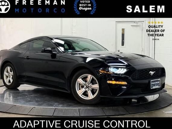 FORD MUSTANG 2019 1FA6P8TH5K5109149 image