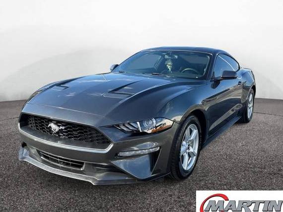 FORD MUSTANG 2019 1FA6P8THXK5199995 image