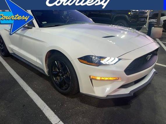 FORD MUSTANG 2019 1FATP8UH6K5159074 image