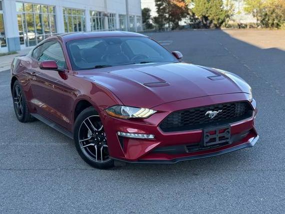 FORD MUSTANG 2019 1FA6P8TH0K5146495 image