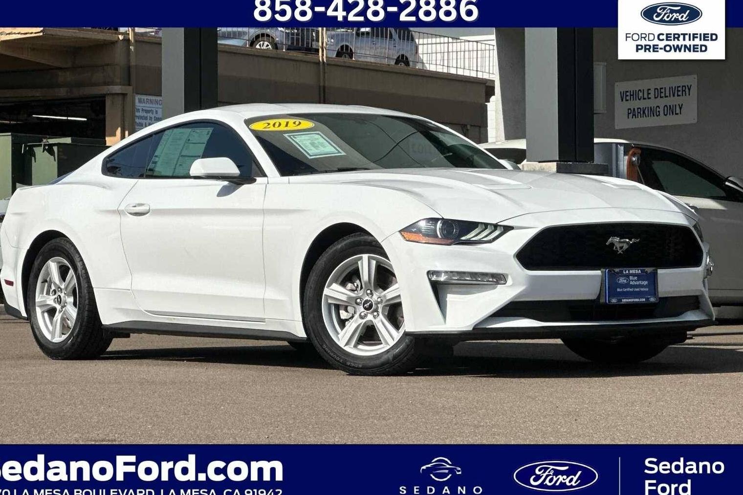 FORD MUSTANG 2019 1FA6P8TH9K5176742 image