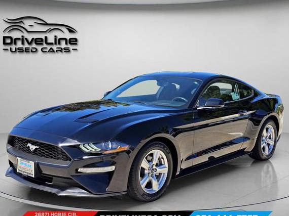 FORD MUSTANG 2019 1FA6P8TH3K5118772 image