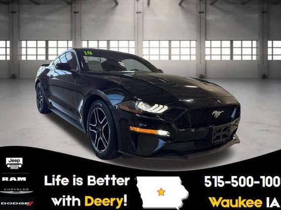 FORD MUSTANG 2019 1FA6P8CF2K5186947 image