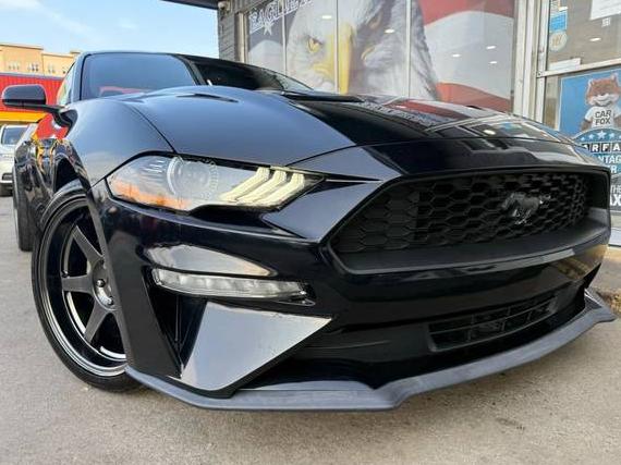FORD MUSTANG 2019 1FA6P8TH4K5182478 image