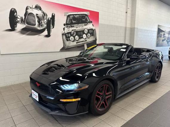 FORD MUSTANG 2019 1FATP8UH0K5129956 image