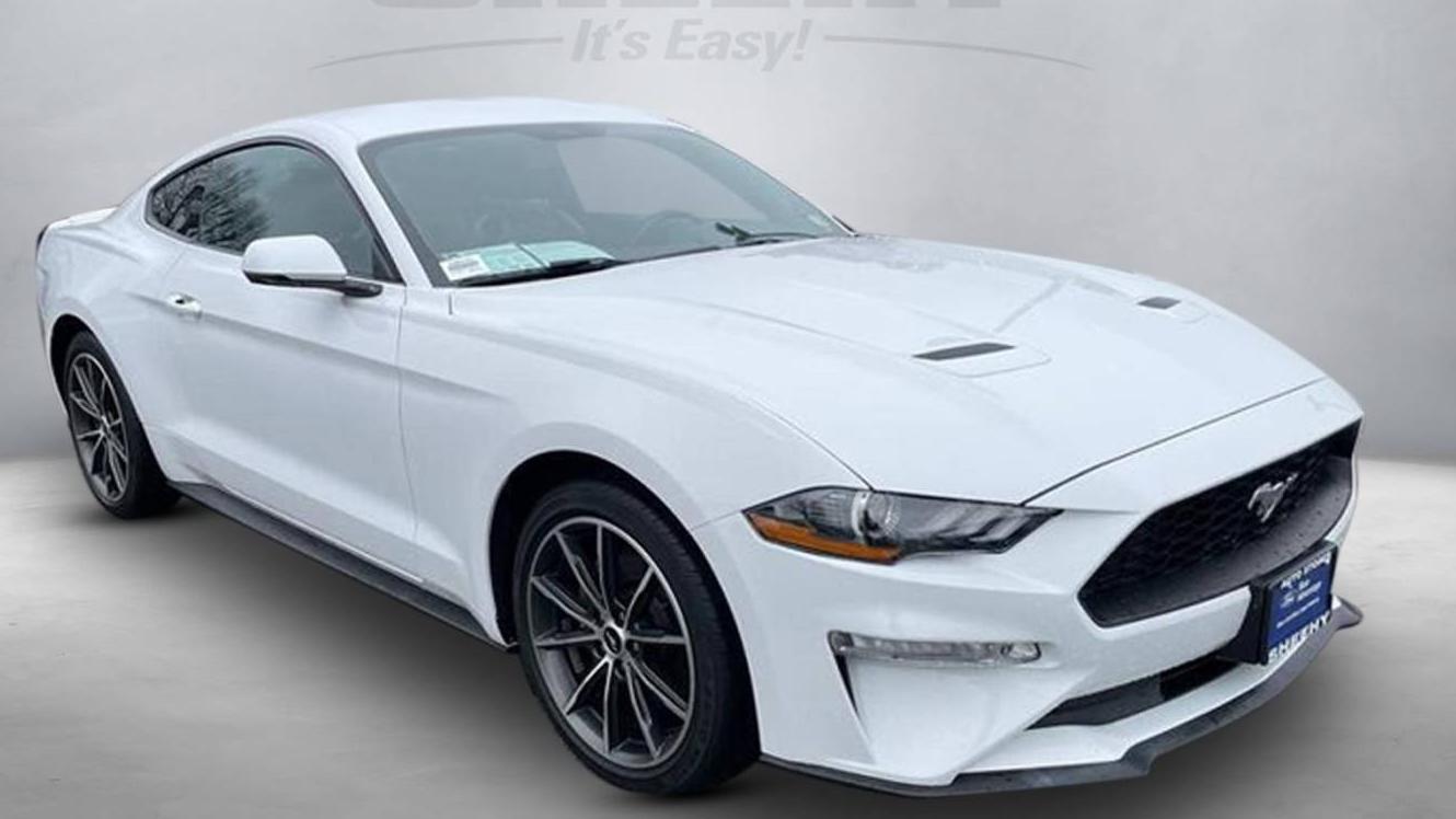 FORD MUSTANG 2019 1FA6P8TH2K5190966 image