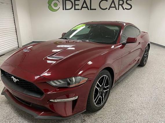 FORD MUSTANG 2019 1FA6P8TH0K5204394 image FORD MUSTANG 2019 1FA6P8TH0K5204394 image