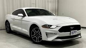 FORD MUSTANG 2019 1FA6P8TH4K5172114 image