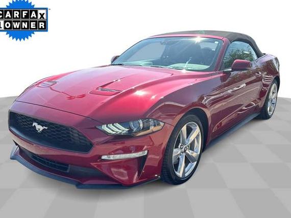 FORD MUSTANG 2019 1FATP8UH4K5201418 image