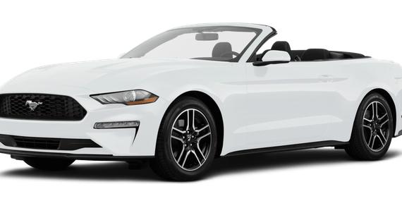 FORD MUSTANG 2019 1FATP8UHXK5109276 image FORD MUSTANG 2019 1FATP8UHXK5109276 image