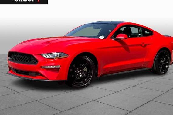 FORD MUSTANG 2019 1FA6P8TH2K5116849 image