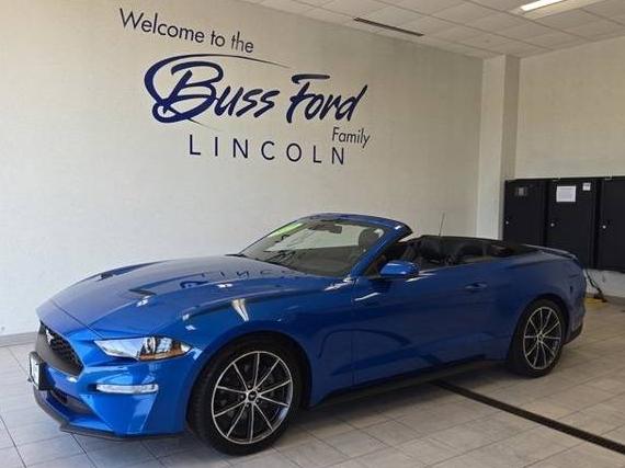 FORD MUSTANG 2019 1FATP8UH0K5172404 image