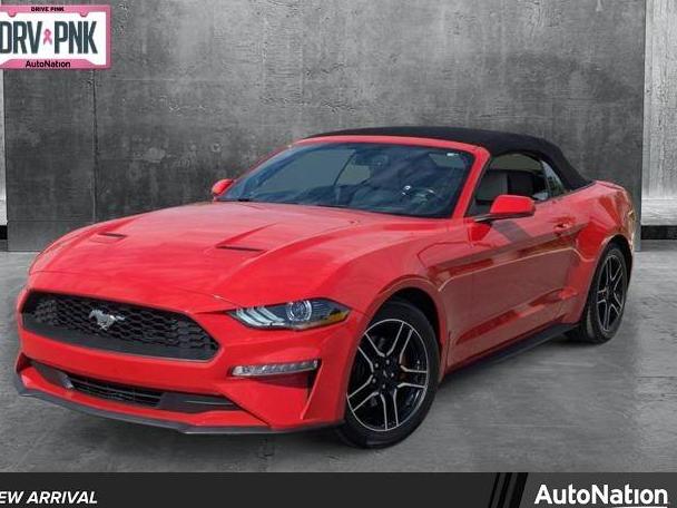 FORD MUSTANG 2019 1FATP8UH2K5181878 image