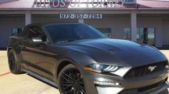 FORD MUSTANG 2019 1FATP8UH8K5170237 image