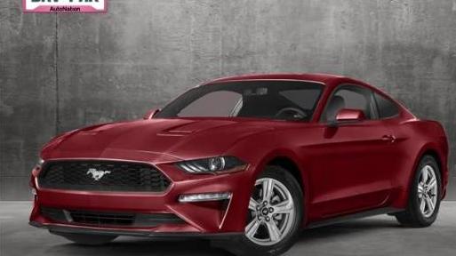 FORD MUSTANG 2019 1FA6P8TH2K5166120 image