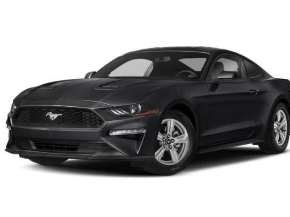 FORD MUSTANG 2019 1FA6P8TH7K5201069 image