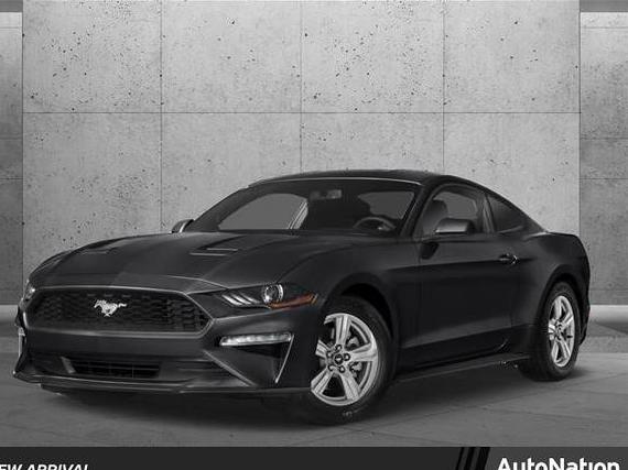 FORD MUSTANG 2019 1FA6P8TH0K5168738 image