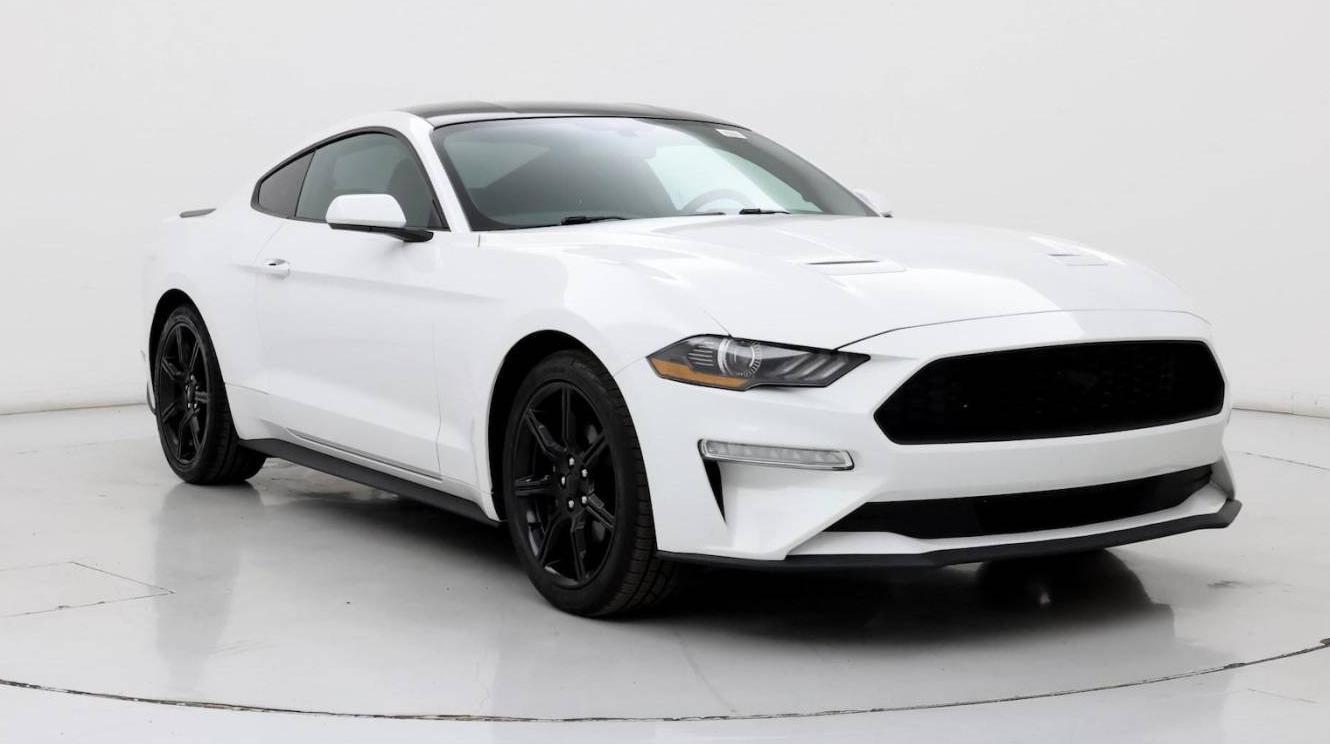 FORD MUSTANG 2019 1FA6P8TH5K5178245 image