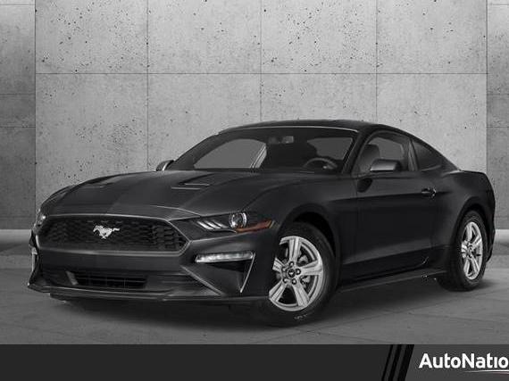 FORD MUSTANG 2019 1FA6P8CF6K5120272 image