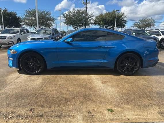 FORD MUSTANG 2019 1FA6P8TH7K5142623 image FORD MUSTANG 2019 1FA6P8TH7K5142623 image