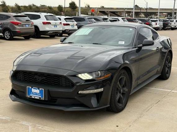 FORD MUSTANG 2019 1FA6P8TH0K5103520 image