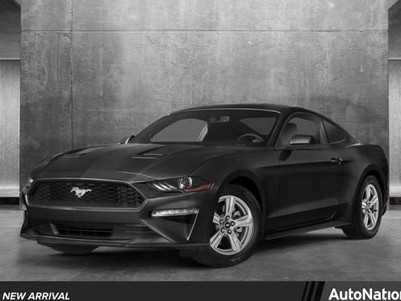 FORD MUSTANG 2019 1FA6P8TH1K5102053 image