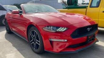 FORD MUSTANG 2019 1FATP8UH1K5188448 image