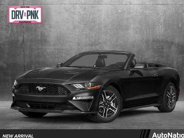 FORD MUSTANG 2019 1FATP8FF9K5170551 image